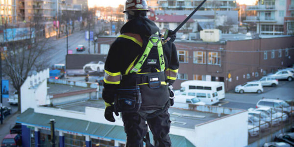 fall protection lifeline harness