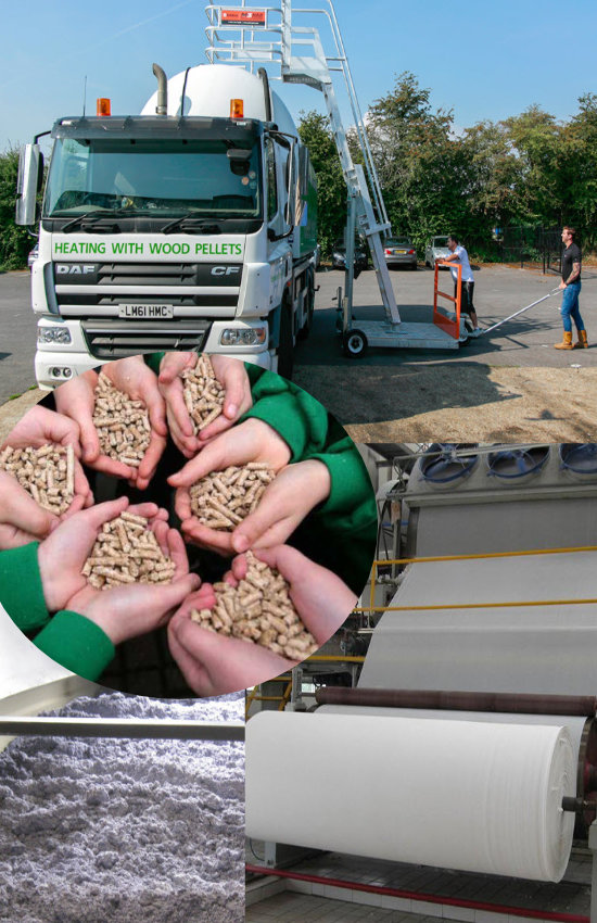 from wood pellets to toilet paper