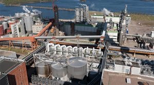 saferack industry paper pulp