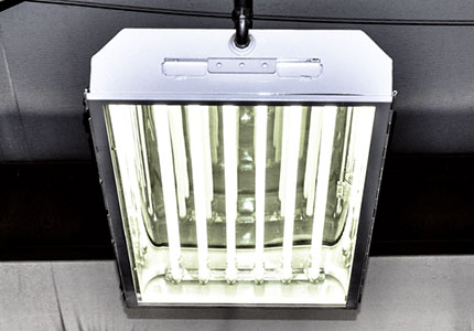 speciality lighting for terminals